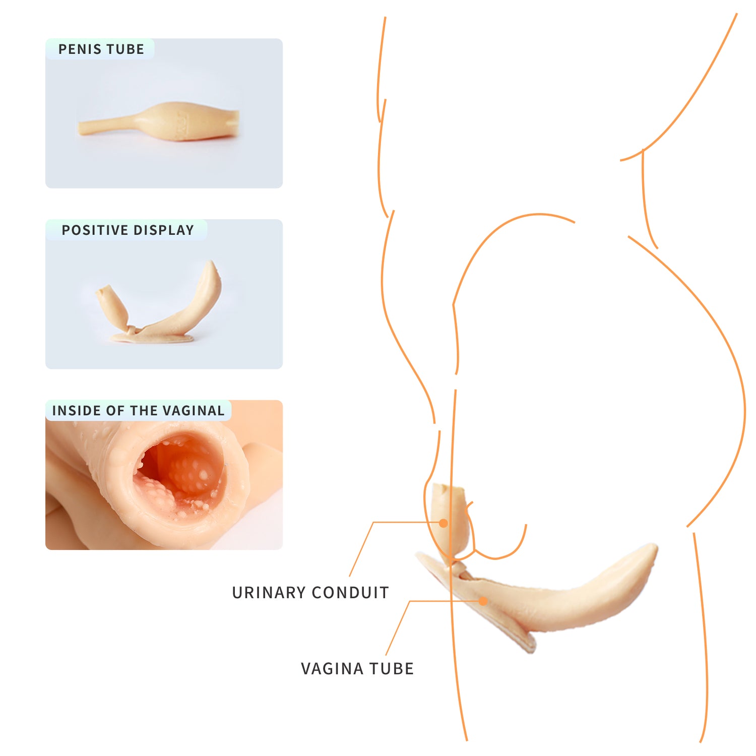 Catheter and Vaginal insert for penetration